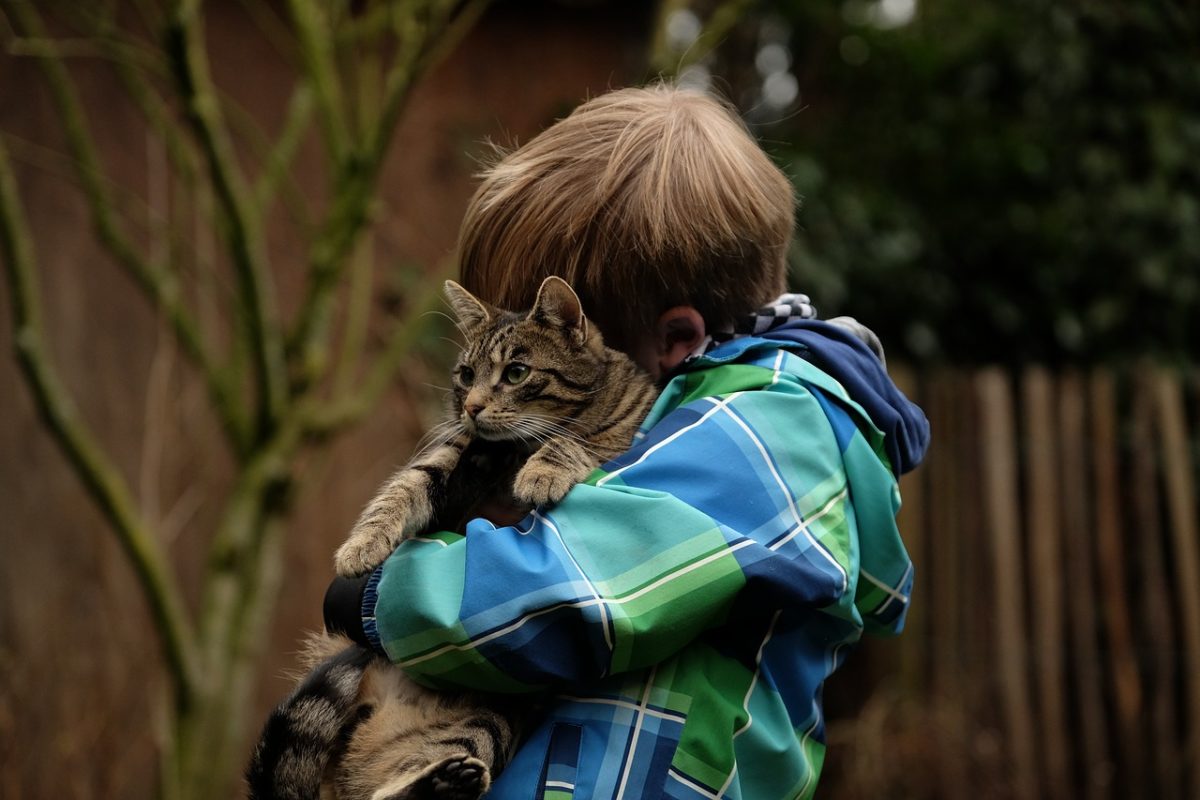 Résultat de recherche d'images pour gatos con niños