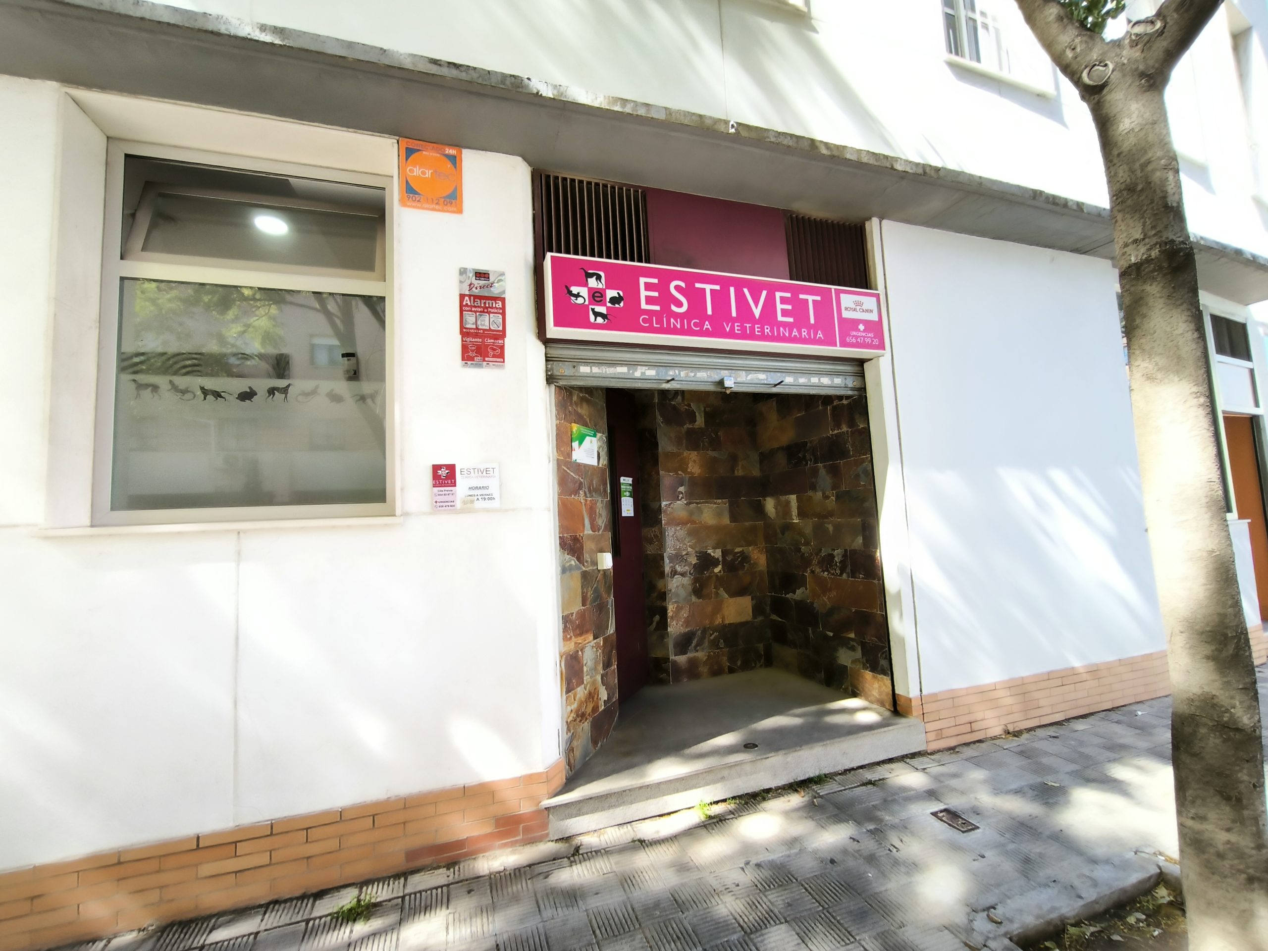 Clínica Veterinaria Estivet en Sevilla